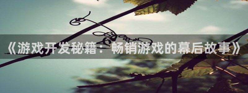 沐鸣2官方