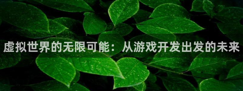 沐鸣2多少年：虚拟世界的无限可能：从游戏开发出发的未来