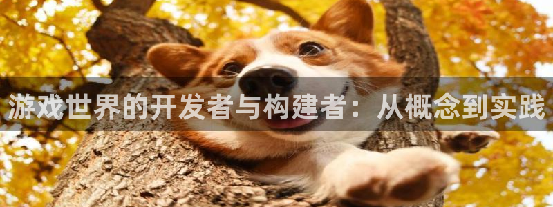 沐鸣娱乐2下载：游戏世界的开发者与构建者：从概念到实践