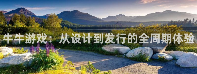 沐鸣娱乐2登录平台官网入口：牛牛游戏：从设计到发行的全周期体验