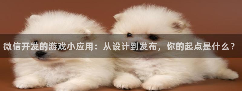 沐鸣娱乐2怎么登录账号：微信开发的游戏小应用：从设计到发布，你的起点是什么？